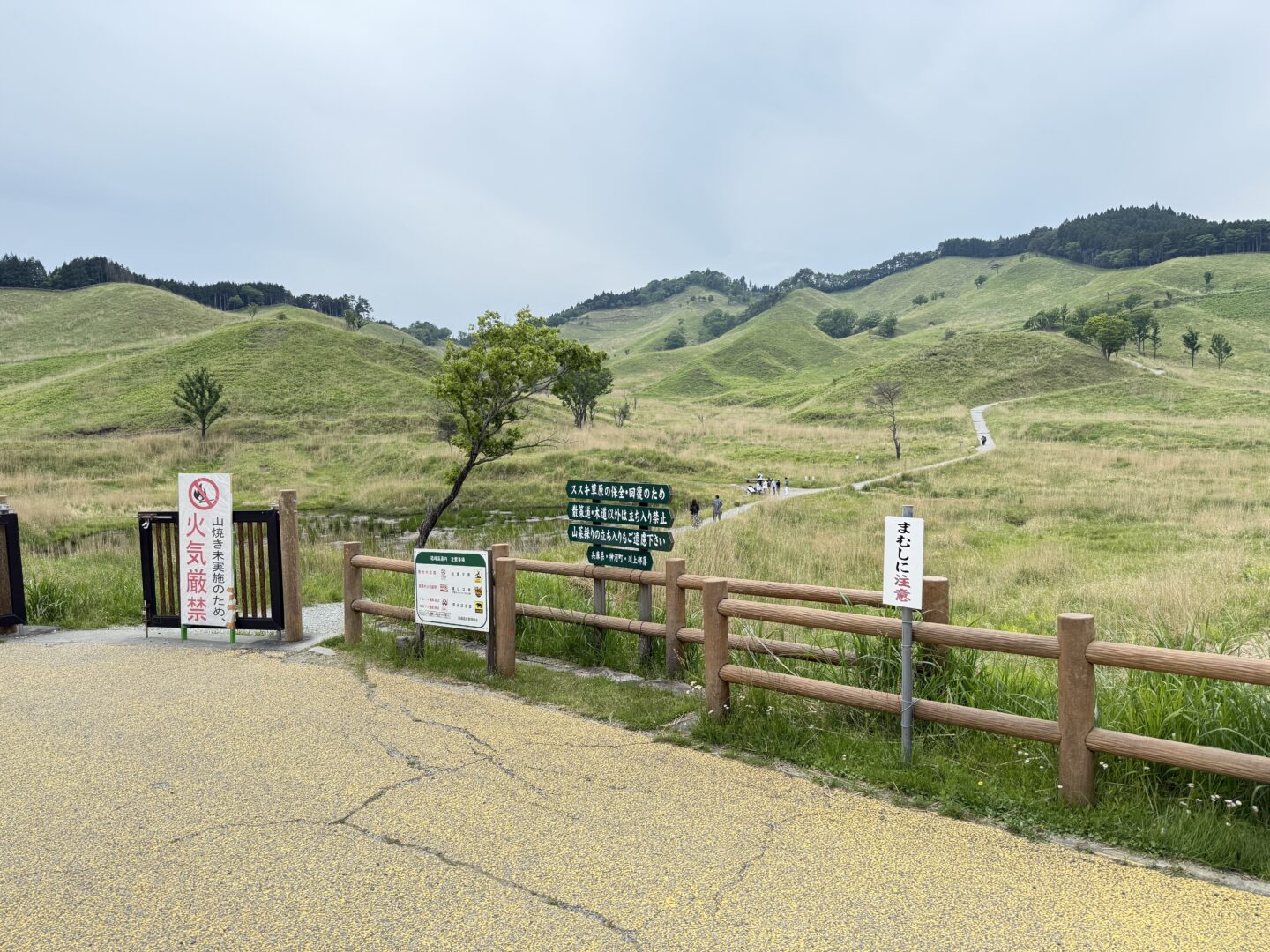 砥峰高原撮影